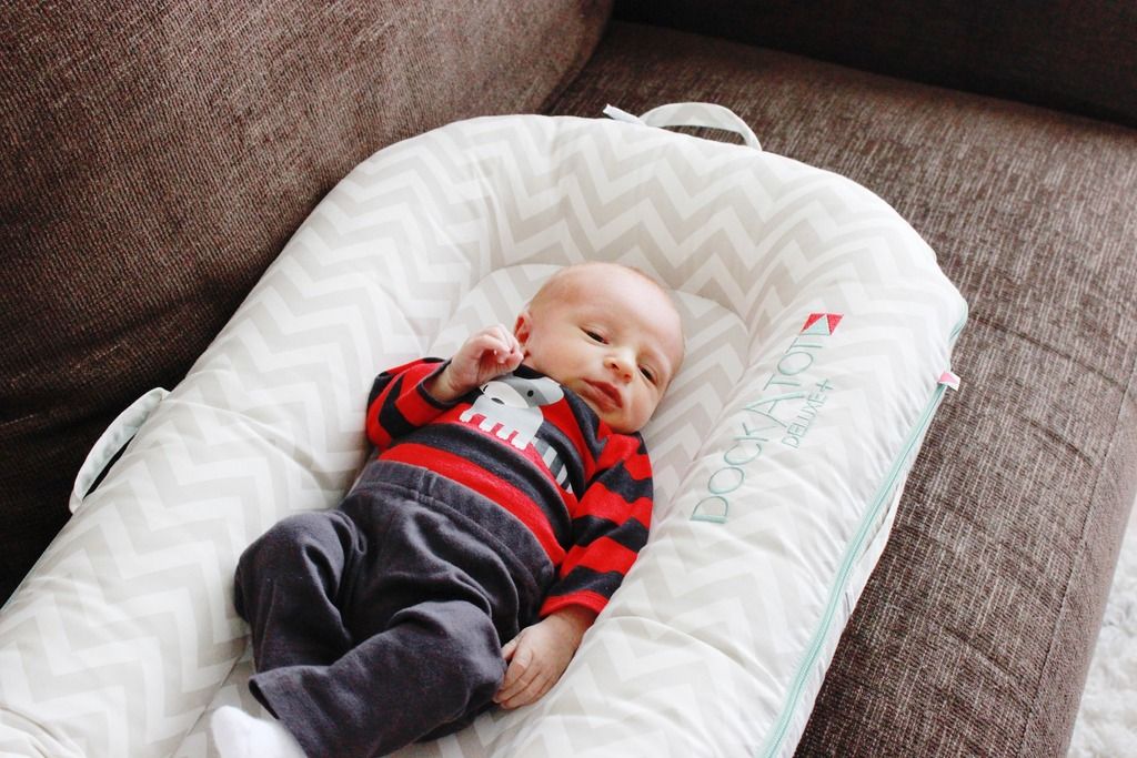 Add This To Your Baby Registry DockATot Pursuit of Pink